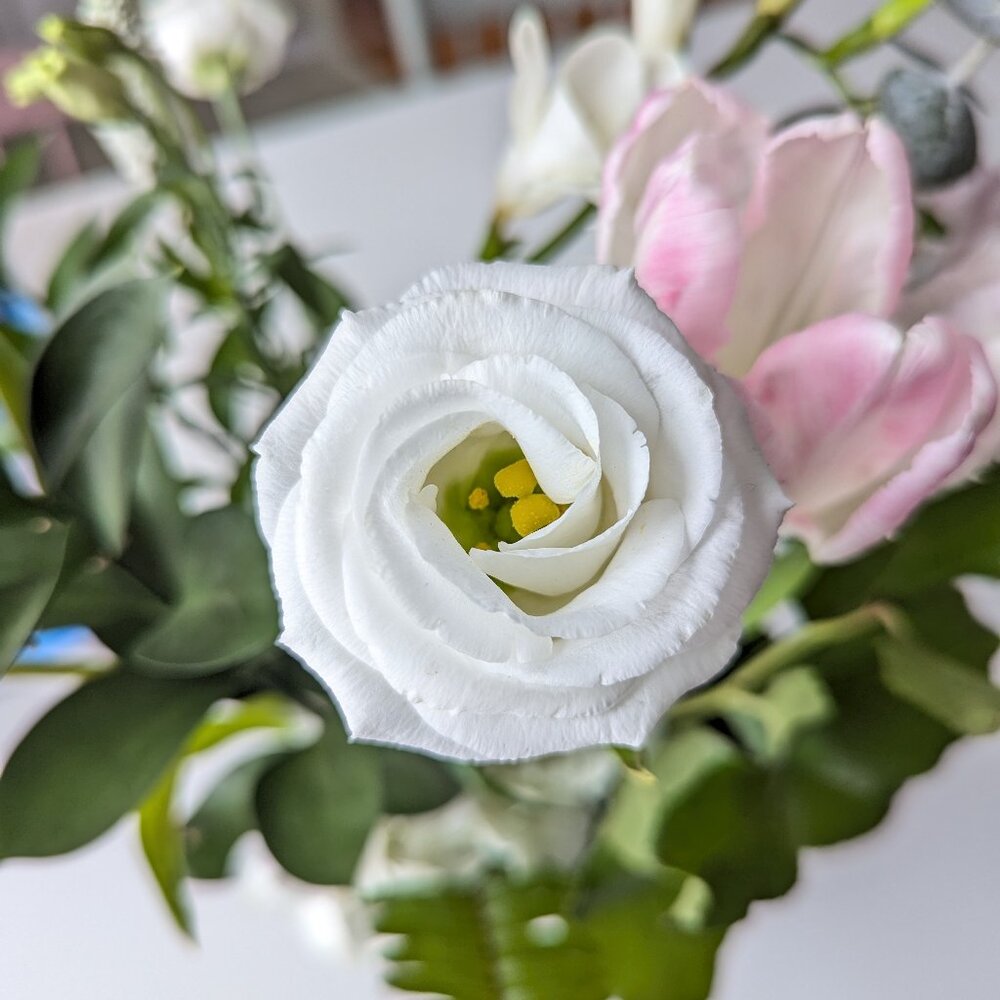 Meet your Posher, Amanda